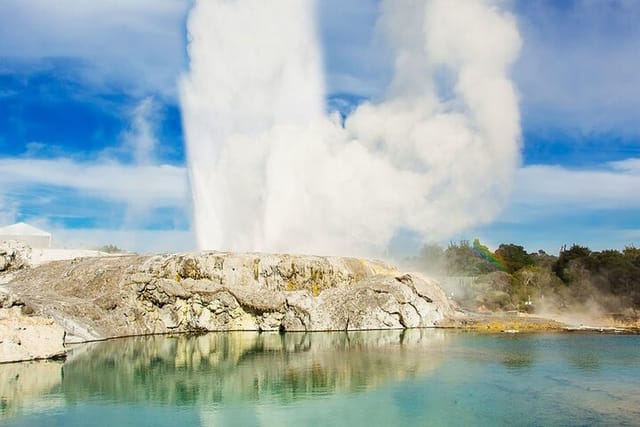 Rotorua - Pohutu Geyser Erupting